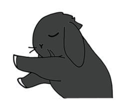 with black rabbit sticker #2564631