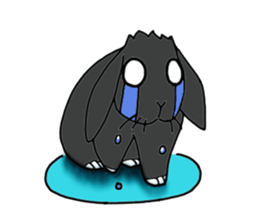with black rabbit sticker #2564632