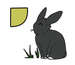 with black rabbit sticker #2564633