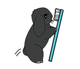 with black rabbit sticker #2564639