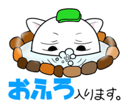 White cat with bad eyes sticker #2565562