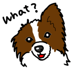 WE LOVE Papillon sticker #2570015