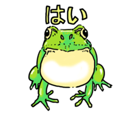 I love frog! sticker #2570111
