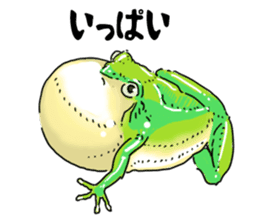 I love frog! sticker #2570116