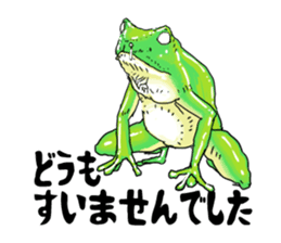 I love frog! sticker #2570117