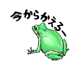 I love frog! sticker #2570119