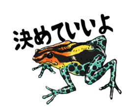 I love frog! sticker #2570131