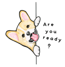 I LOVE CORGI  ! sticker #2571393
