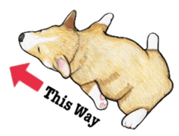 I LOVE CORGI  ! sticker #2571395