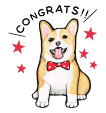 I LOVE CORGI  ! sticker #2571396