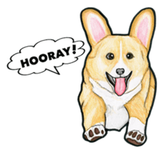 I LOVE CORGI  ! sticker #2571407