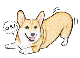 I LOVE CORGI  ! sticker #2571414