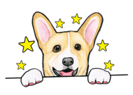 I LOVE CORGI  ! sticker #2571416