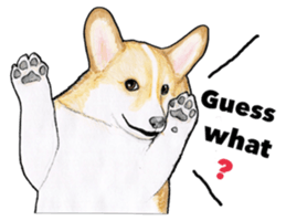 I LOVE CORGI  ! sticker #2571417