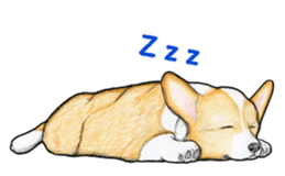 I LOVE CORGI  ! sticker #2571420