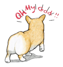 I LOVE CORGI  ! sticker #2571421