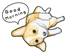 I LOVE CORGI  ! sticker #2571426