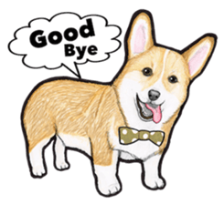 I LOVE CORGI  ! sticker #2571427