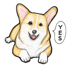 I LOVE CORGI  ! sticker #2571428