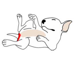 Bull Terrier of heart mark sticker #2575516