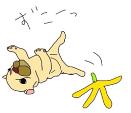 My name is jasmine of French Bulldog. sticker #2583356