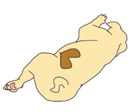 My name is jasmine of French Bulldog. sticker #2583359