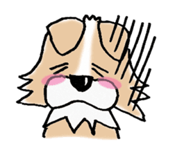 Chihuahua called coco.Vol.2 sticker #2583569