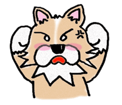 Chihuahua called coco.Vol.2 sticker #2583577