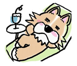 Chihuahua called coco.Vol.2 sticker #2583595