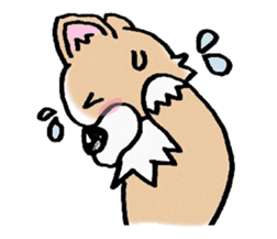 Chihuahua called coco.Vol.2 sticker #2583596