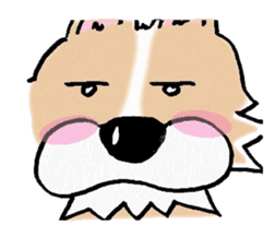 Chihuahua called coco.Vol.2 sticker #2583598