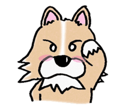 Chihuahua called coco.Vol.2 sticker #2583603