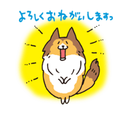 Love Love Sheltie sticker #2586850