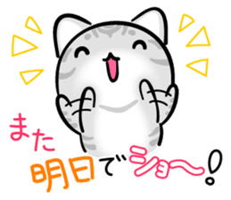 KAWAII American Shorthair sticker #2587256