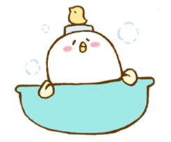 sugar boy sticker #2590843