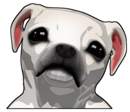 Handsome Dog sticker #2592127