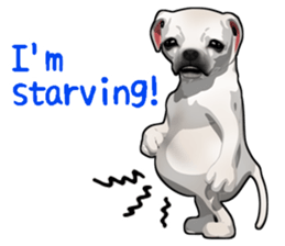 Handsome Dog sticker #2592129