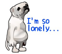 Handsome Dog sticker #2592130