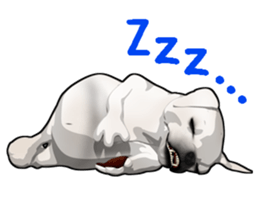 Handsome Dog sticker #2592143