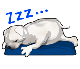 Handsome Dog sticker #2592144