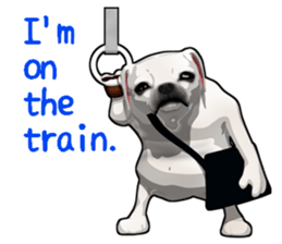 Handsome Dog sticker #2592160