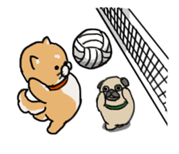 Proper Use Sport (Shiba&Pug) sticker #2593954