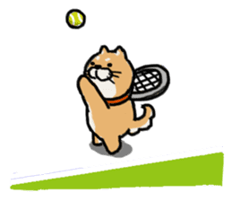 Proper Use Sport (Shiba&Pug) sticker #2593956