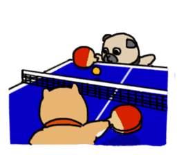 Proper Use Sport (Shiba&Pug) sticker #2593957