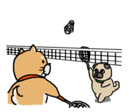 Proper Use Sport (Shiba&Pug) sticker #2593958