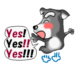 Funky Miniature Schnauzer. ver.English sticker #2597181