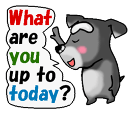 Funky Miniature Schnauzer. ver.English sticker #2597218