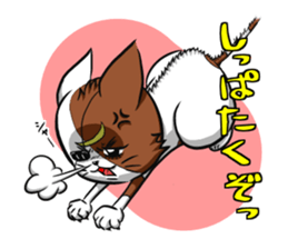 Cat living in Sendai Japan sticker #2597551