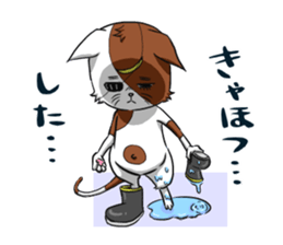 Cat living in Sendai Japan sticker #2597571