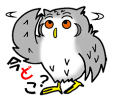 The owl which is some evil-mindedness sticker #2599501